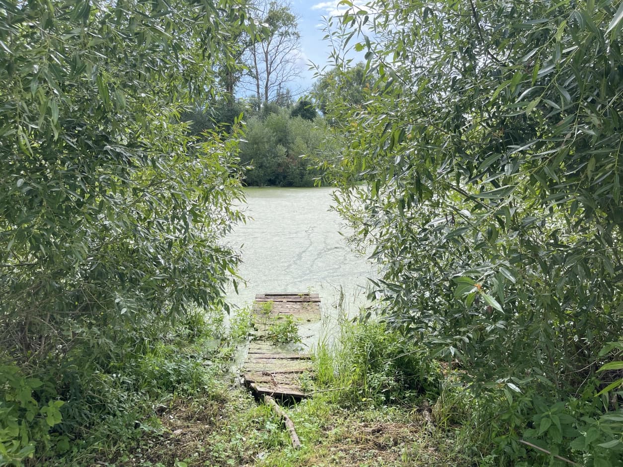 Photo 17