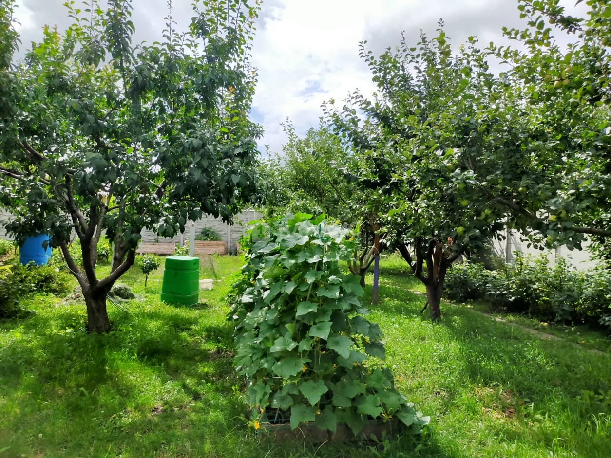 Photo 39