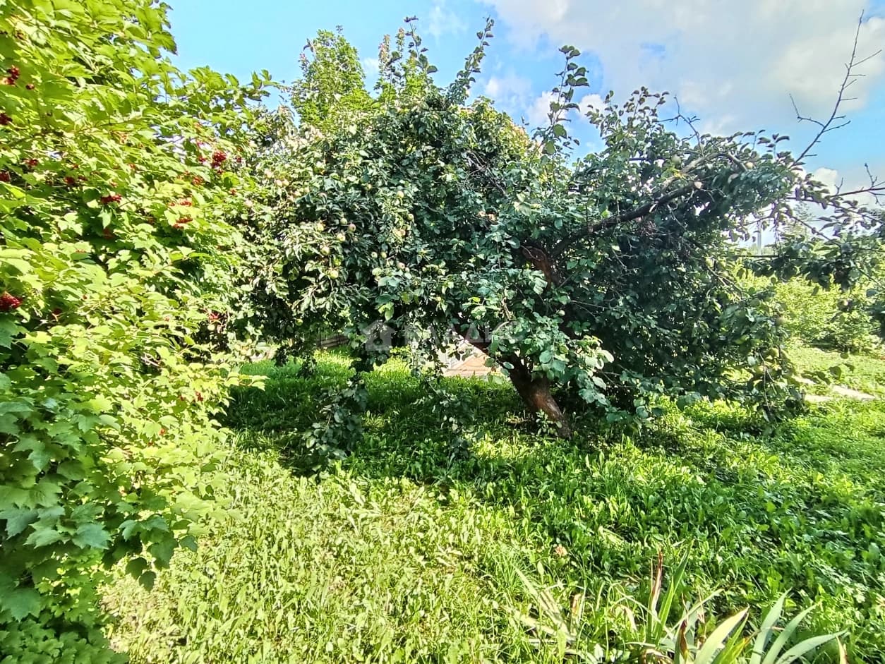 Photo 29