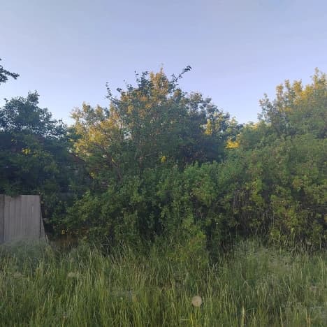 Купить земельный участок в Белгородской области. Вариант № 2252408, 0, площадь - квм, цена 3150000 рублей