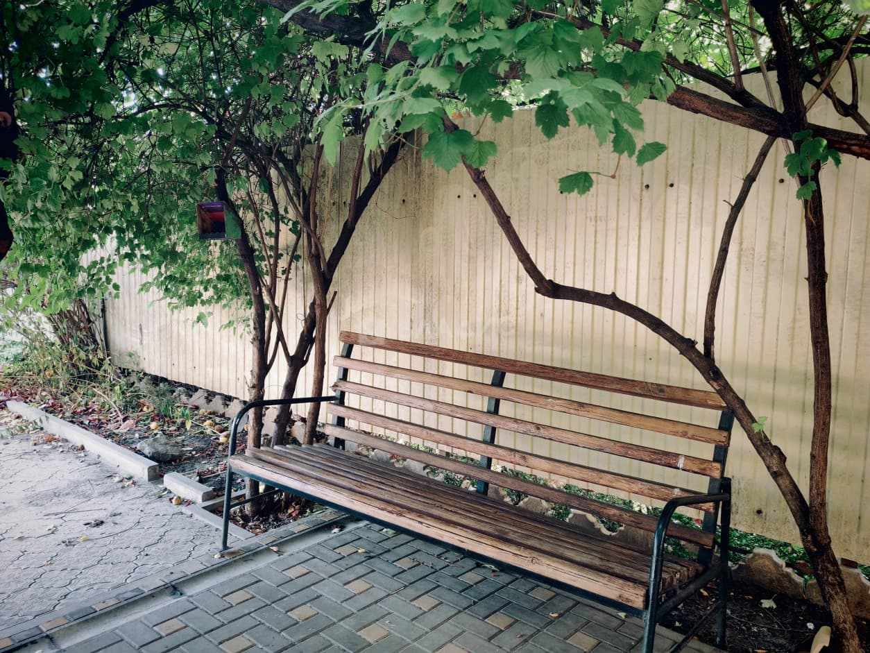 Photo 12