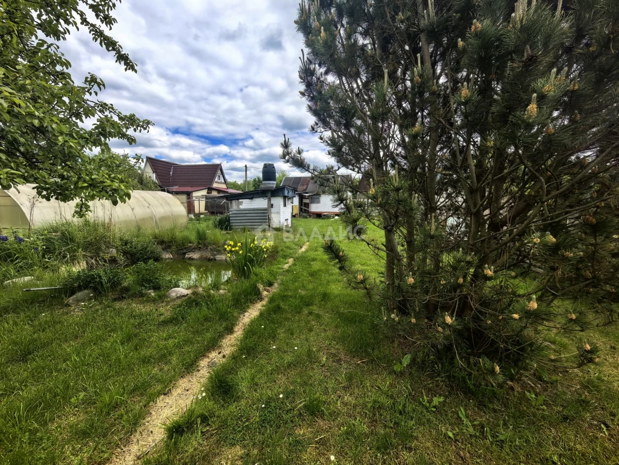 Photo 28