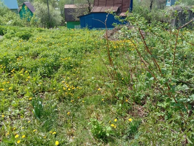 Купить дом в селе Тетерино в Суздальском Муниципальном Округе в Владимирской области. Вариант № 2173915, 1, площадь - квм, цена 1600000 рублей