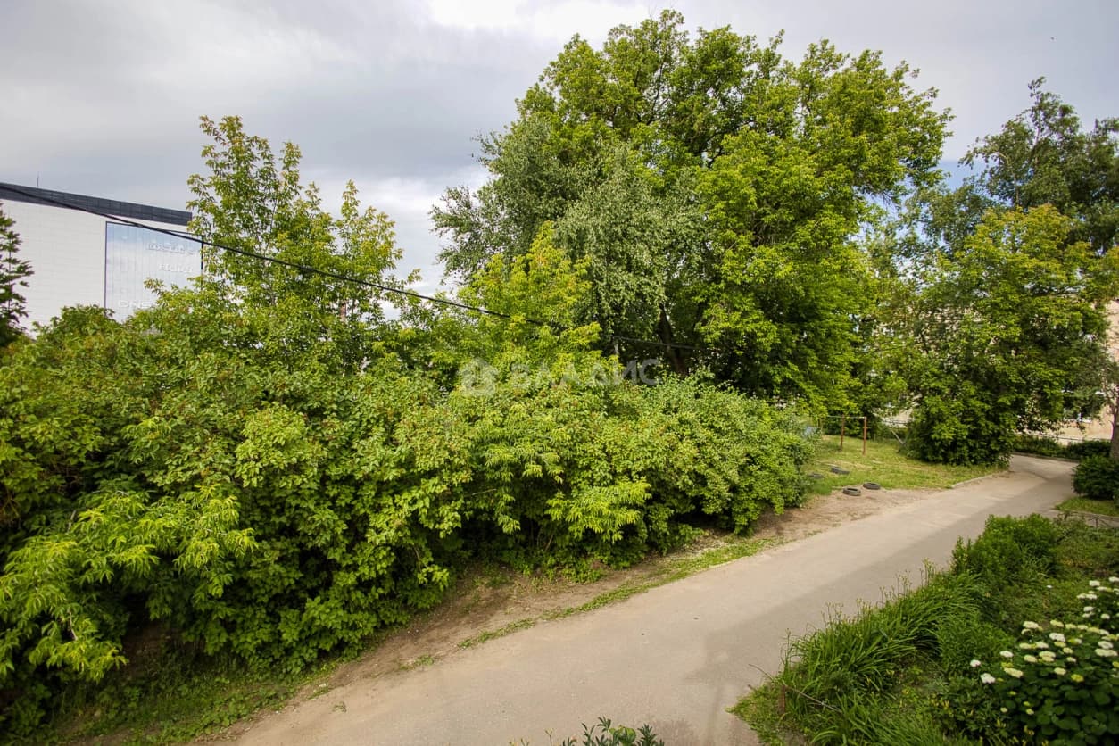 Photo 44