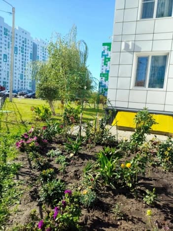Купить квартиру с мебелью в Воронеже. Вариант № 2383714, 0, площадь - квм, цена 3800000 рублей