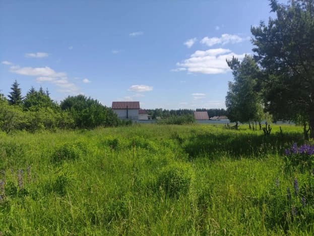 Купить земельный участок в Кстовском Муниципальном Округе в Нижегородской области. Вариант № 2338986, 1, площадь - квм, цена 4000000 рублей