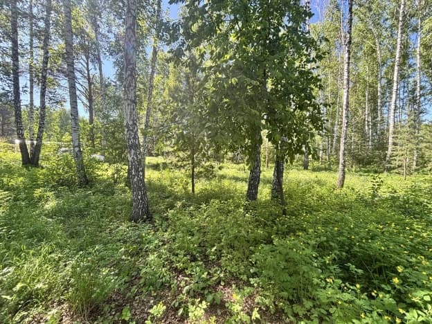 Купить земельный участок в селе Марусино в Новосибирском районе в Микрорайоне Благое, село Марусино в Новосибирской области. Вариант № 2203359, 0, площадь - квм, цена 1050000 рублей