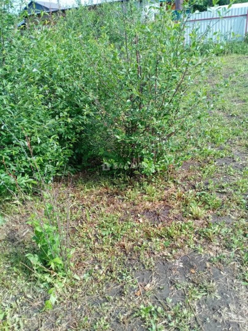 Photo 31