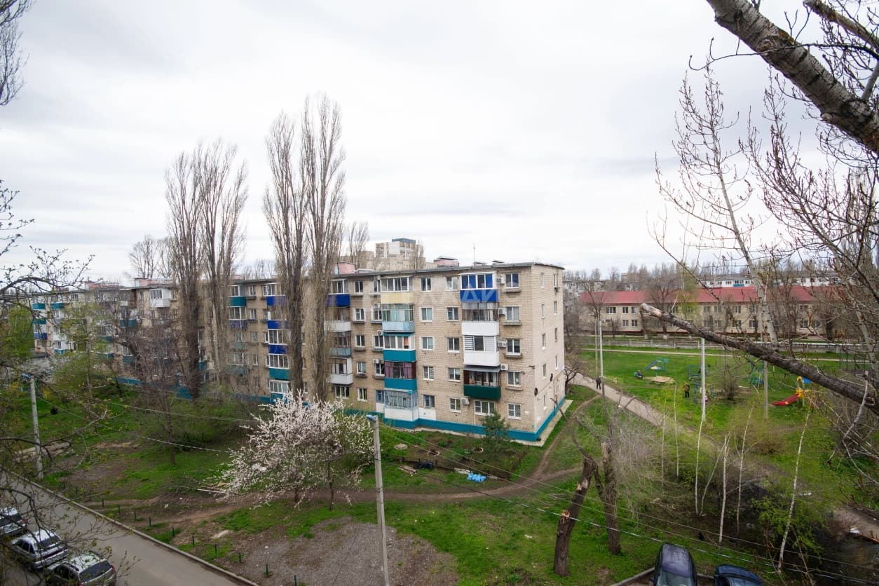 Photo 24