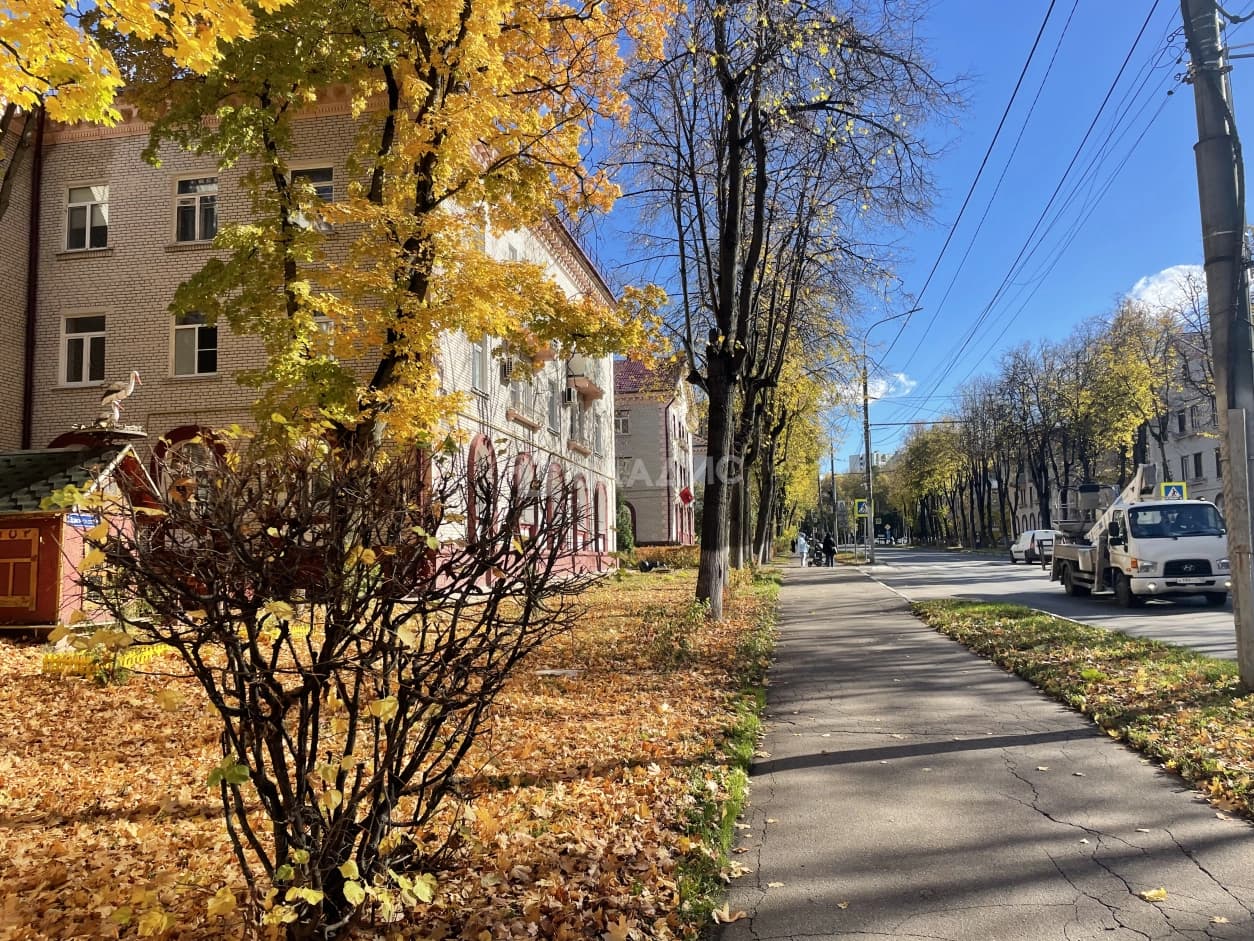 Photo 22