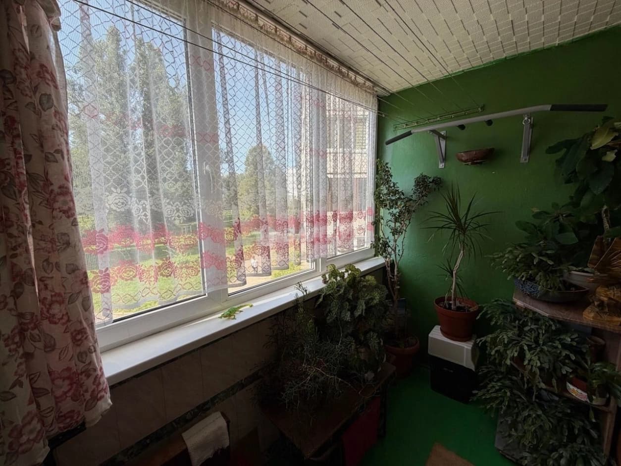 Photo 26