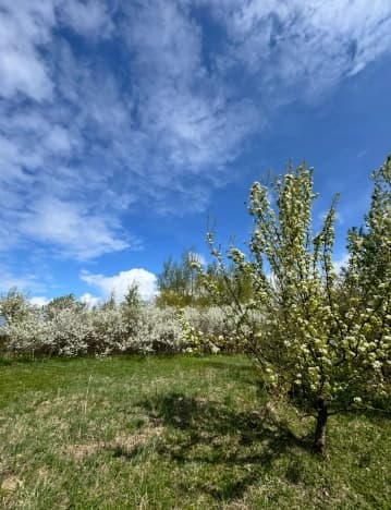 Купить земельный участок в Деревне Какузеве в Раменском Муниципальном Округе в Московской области. Вариант № 2204285, 0, площадь - квм, цена 850000 рублей