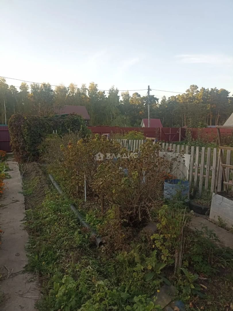 Photo 32