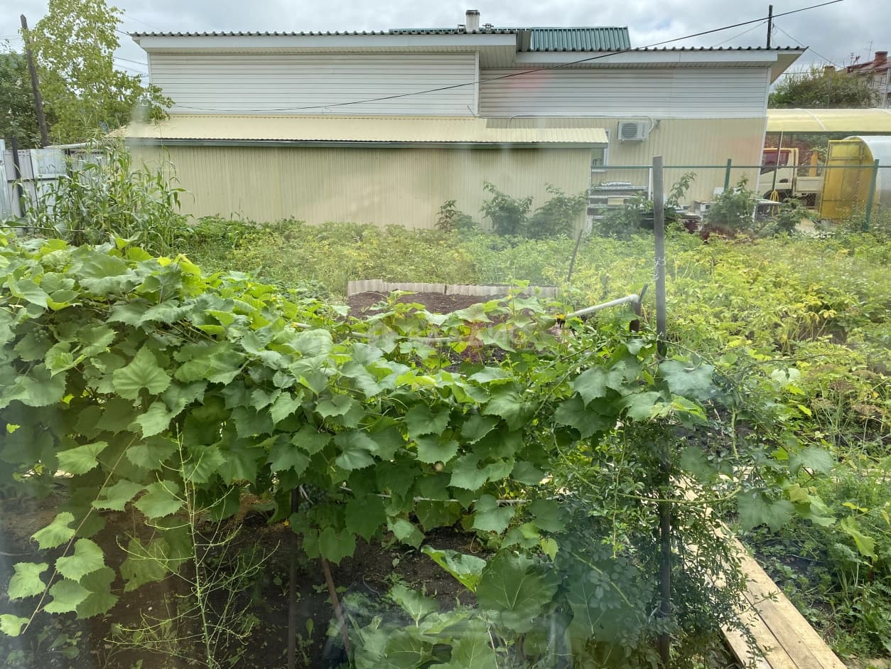 Photo 26