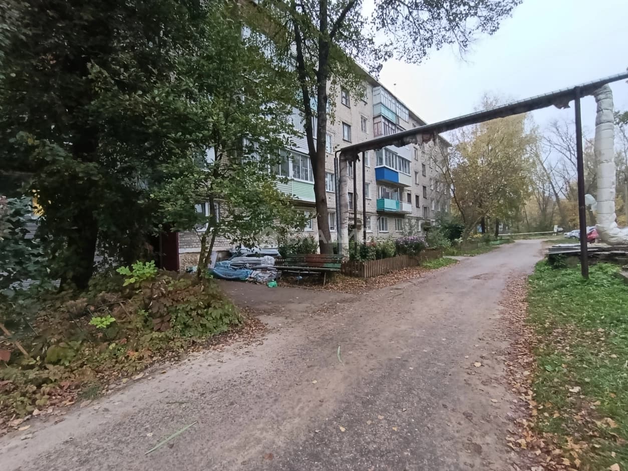 Photo 41