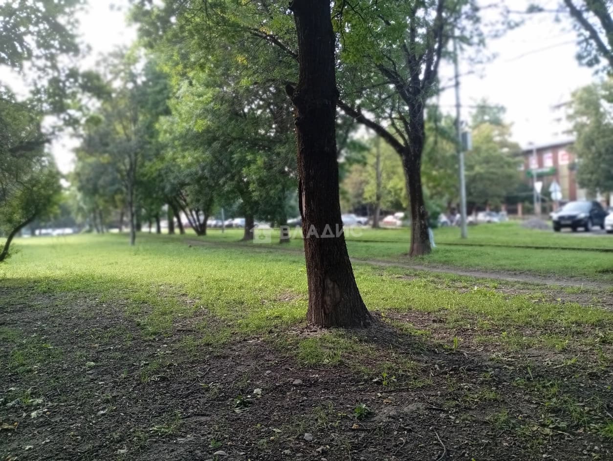 Photo 39