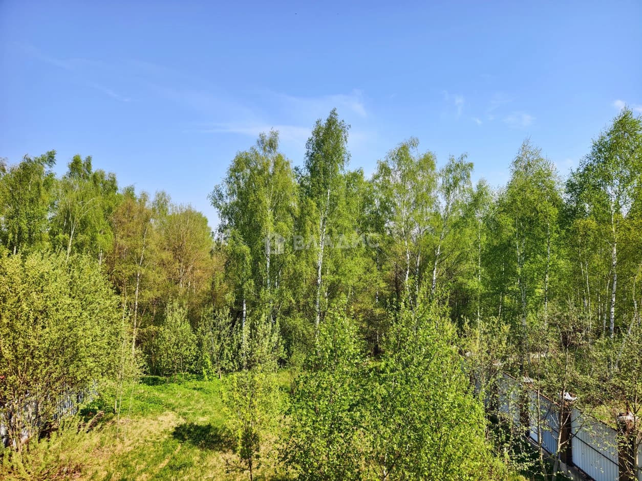 Photo 25