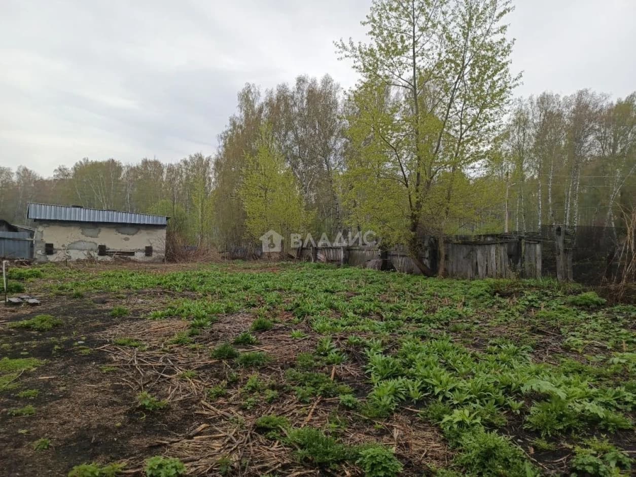 Photo 35