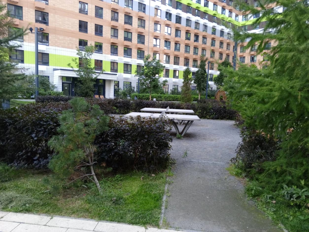 Photo 4