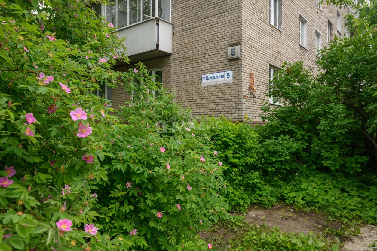 Photo 25