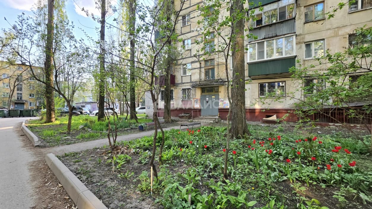 Photo 23