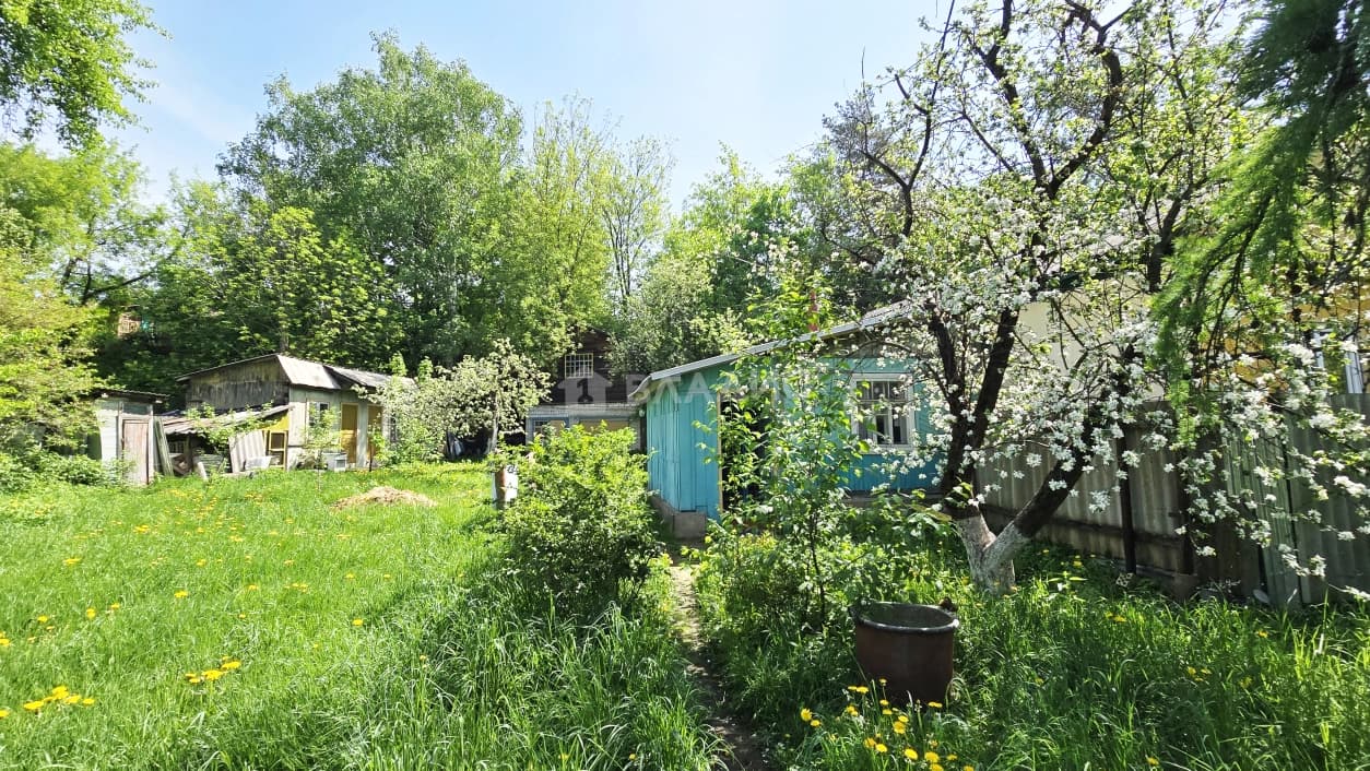 Photo 22