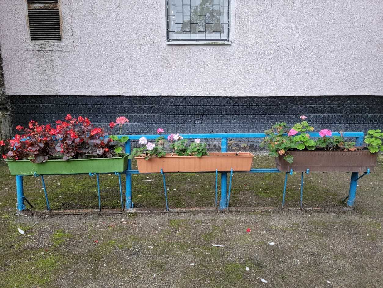 Photo 16