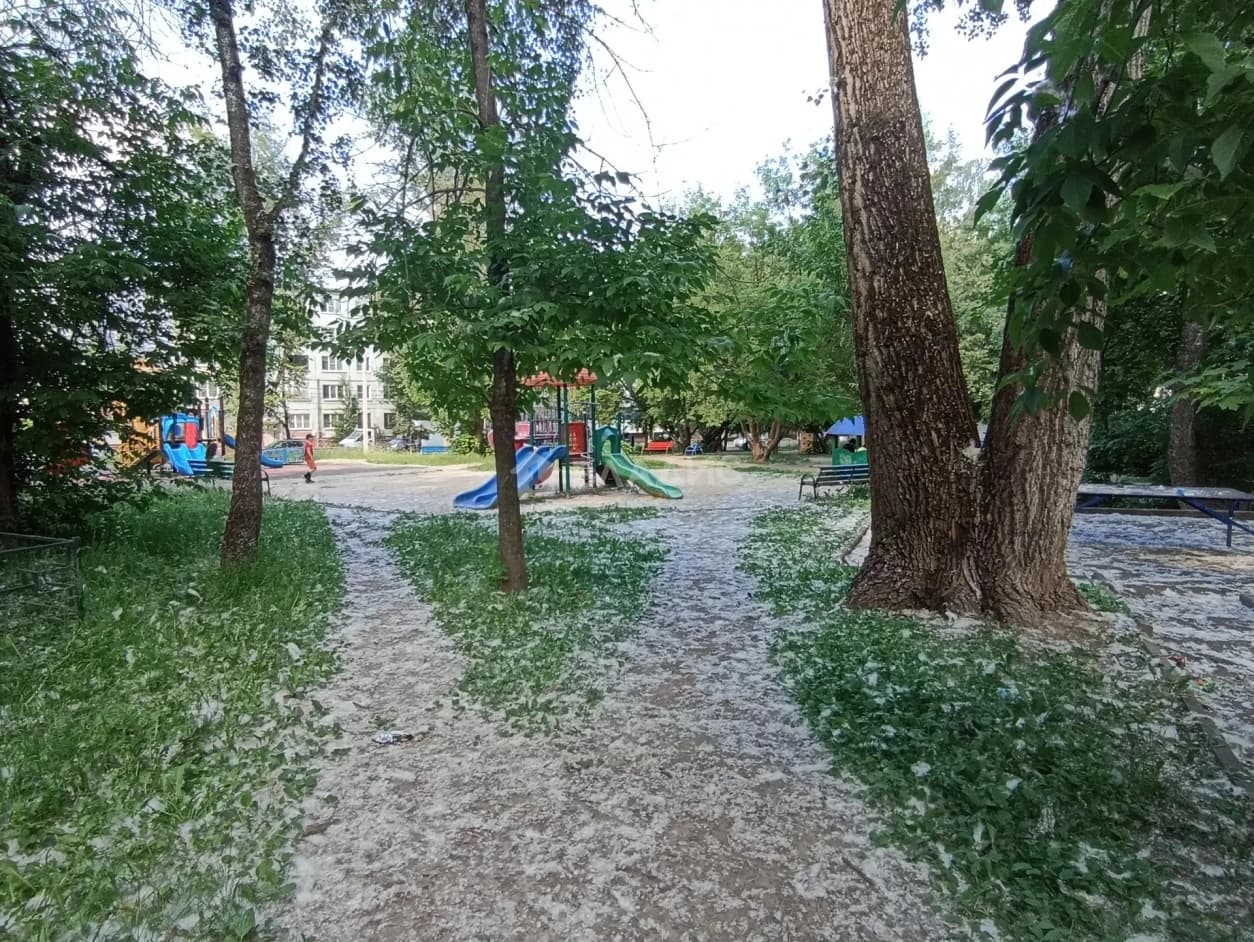 Photo 38