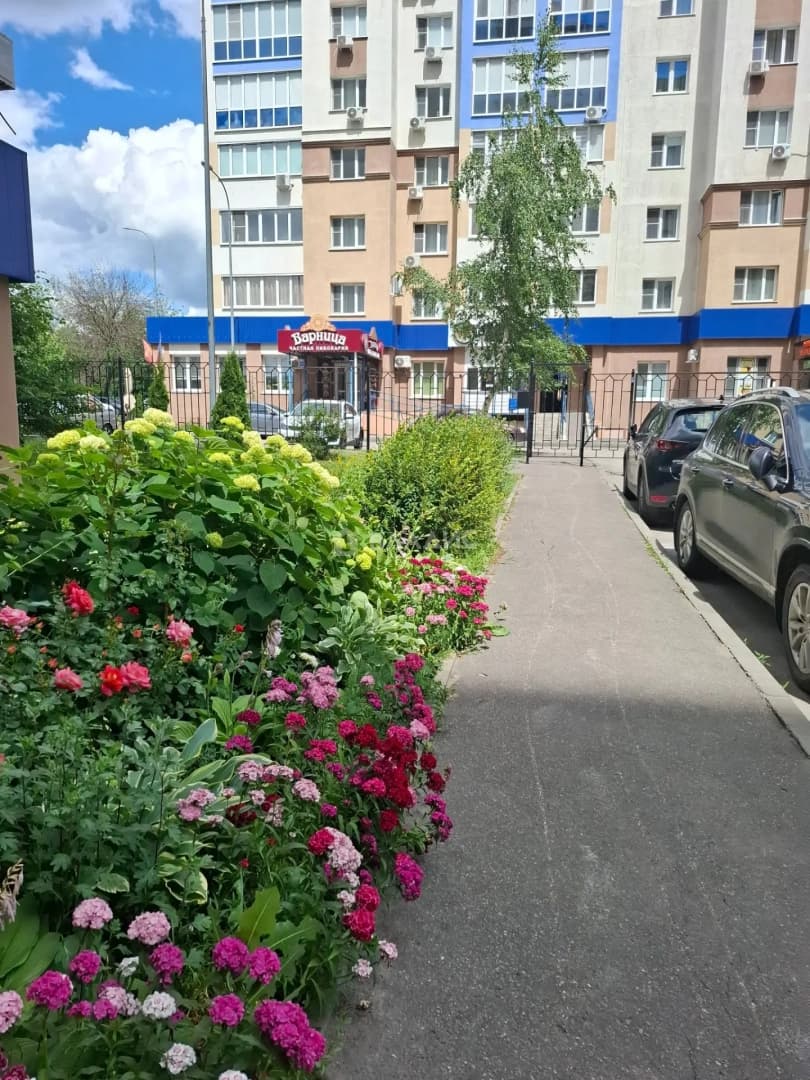 Photo 16