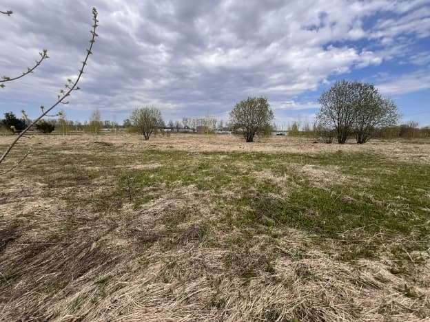 Купить земельный участок в Рязанской области. Вариант № 2161344, 1, площадь - квм, цена 300000 рублей