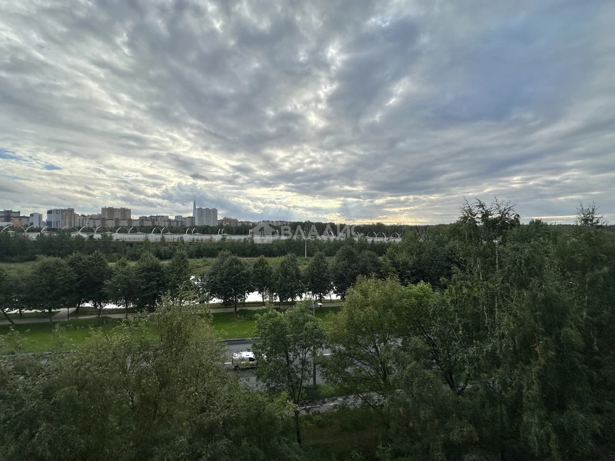 Photo 44