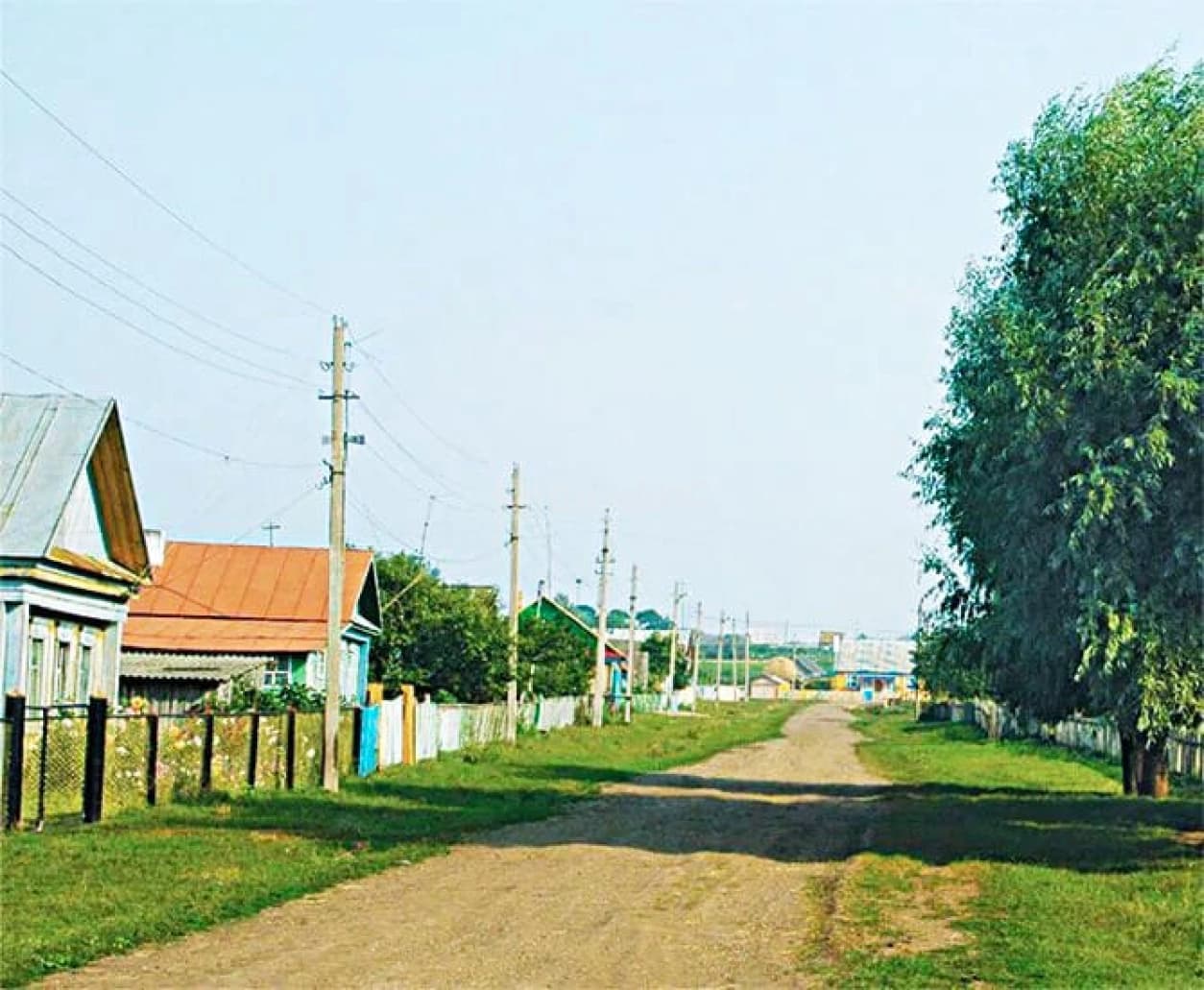 Photo 3