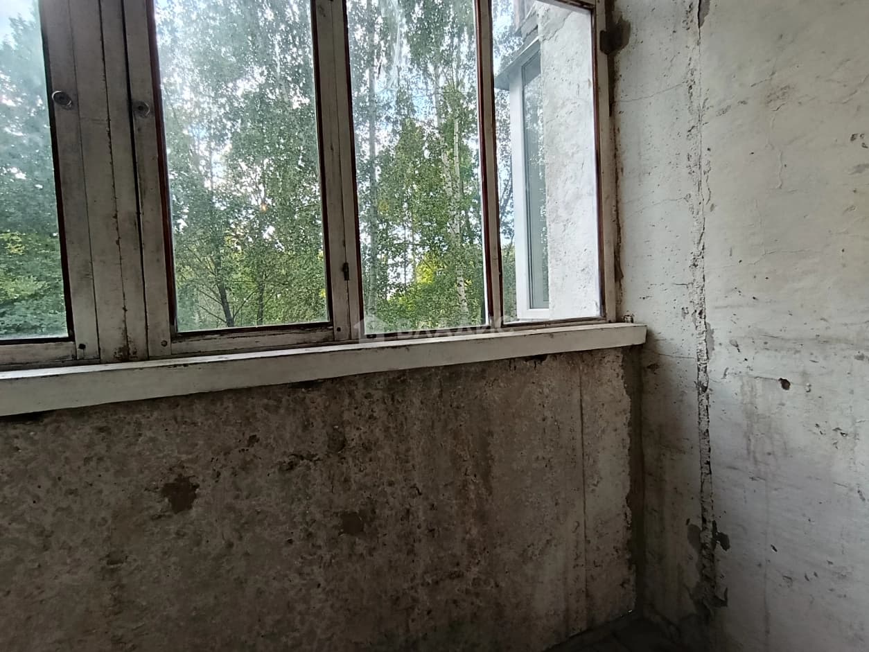 Photo 47
