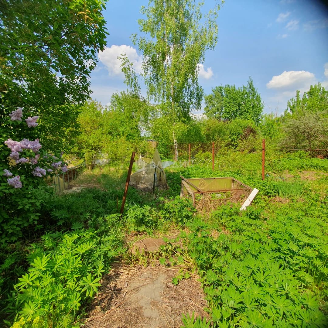 Photo 36