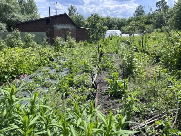 Купить земельный участок в селе Кижеватово в Бессоновском районе на улице Иртыш, село Кижеватово в Пензенской области. Вариант № 2206564, 1, площадь - квм, цена 550000 рублей