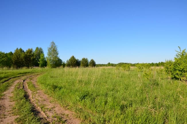 Купить земельный участок в Вологодской области. Вариант № 2138719, 1, площадь - квм, цена 275000 рублей