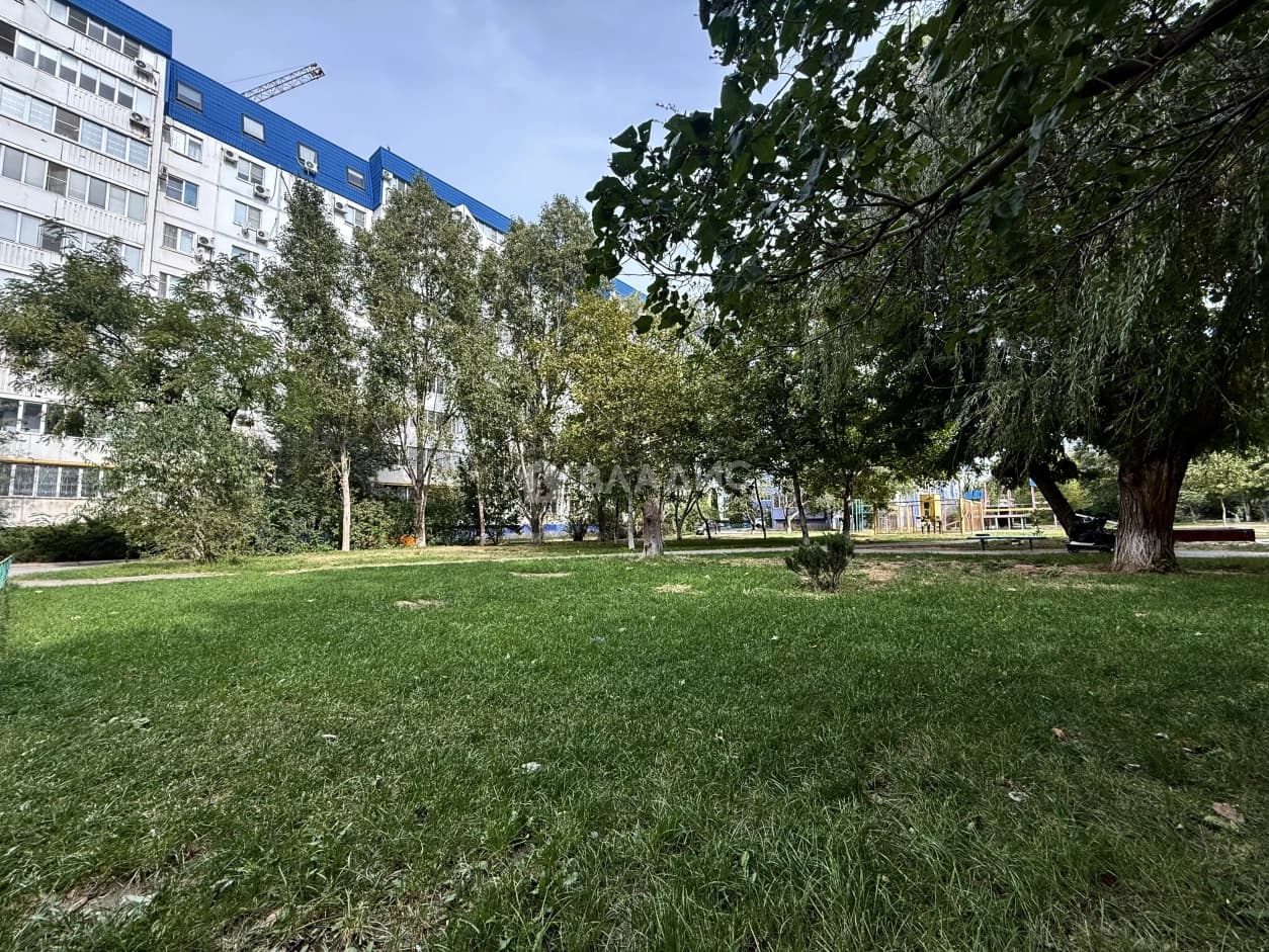 Photo 40