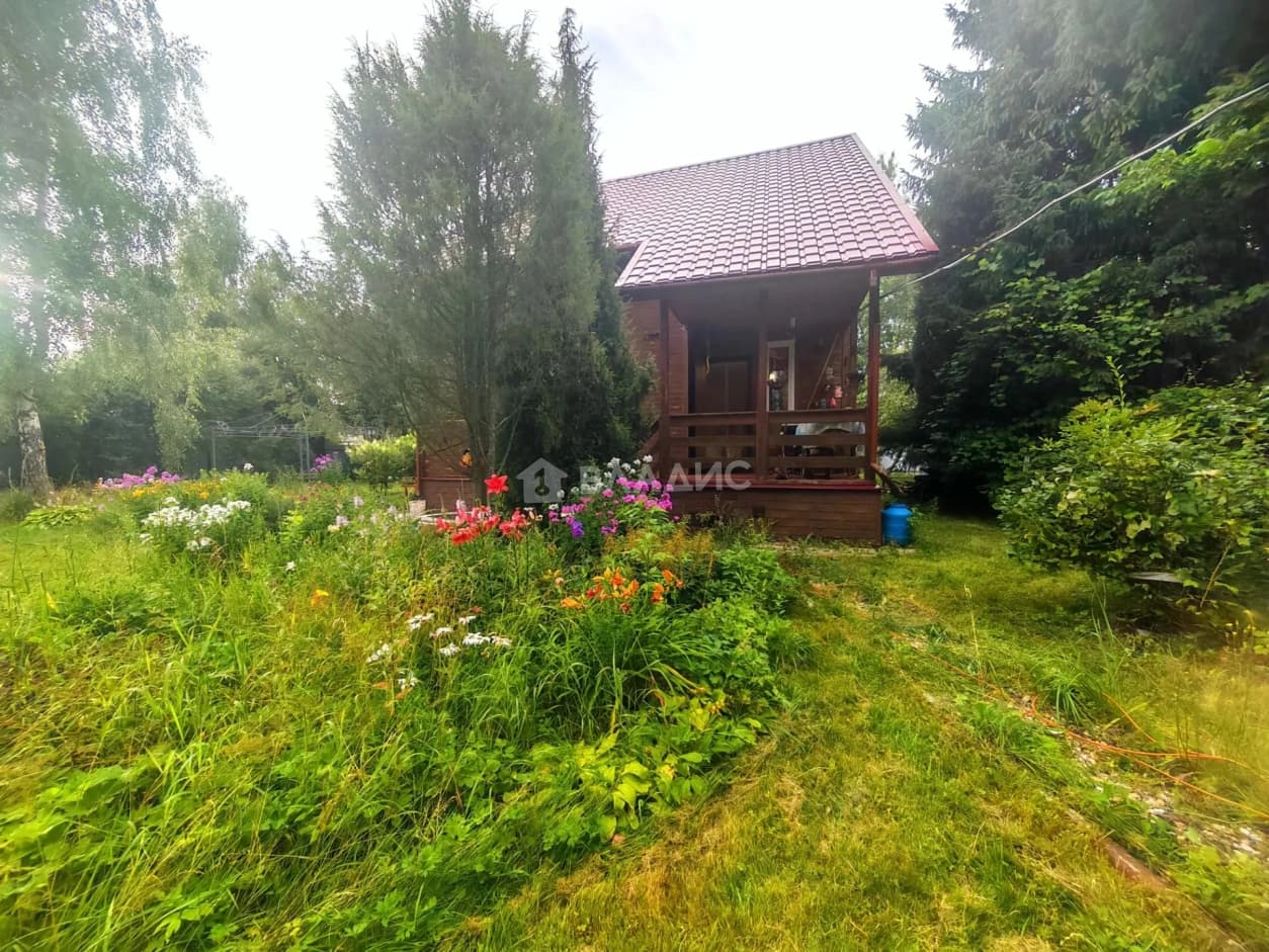 Photo 11