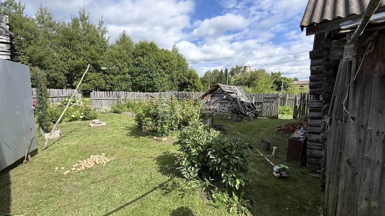 Photo 31