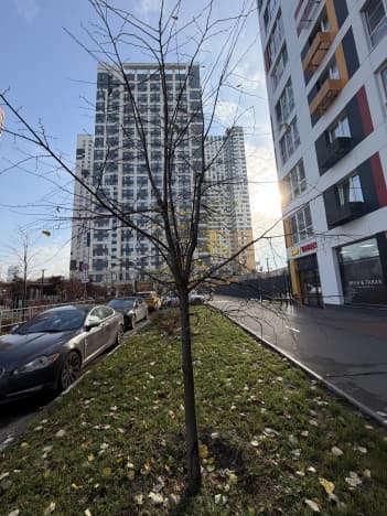 Купить двухкомнатную квартиру в ЖК Дубровка от Гранель в Москве. Вариант № 2388466, 0, площадь - квм, цена 14500000 рублей