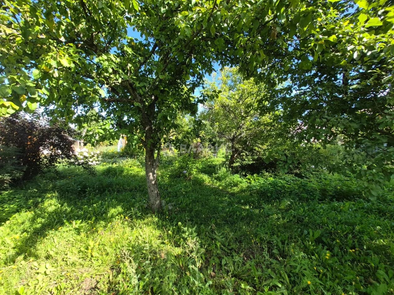 Photo 40