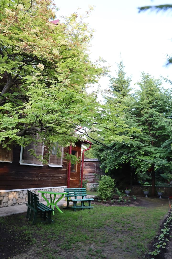 Photo 12