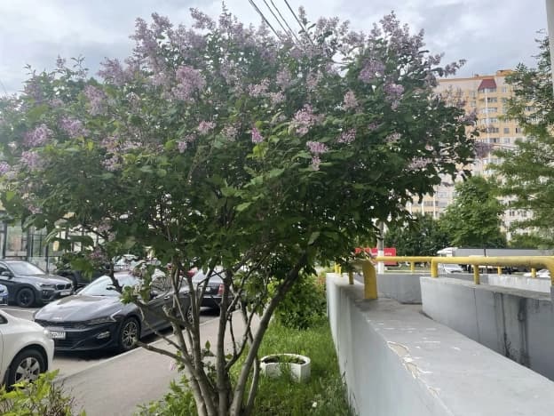 Купить однокомнатную квартиру у метро Улица Скобелевская в Москве. Вариант № 2188842, 1, площадь - квм, цена 12850000 рублей