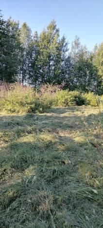 Купить земельный участок в Архангельской области. Вариант № 2252552, 1, площадь - квм, цена 2250000 рублей