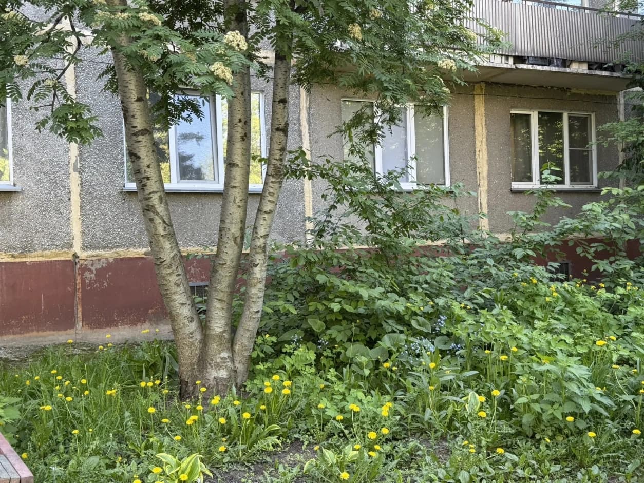 Photo 28