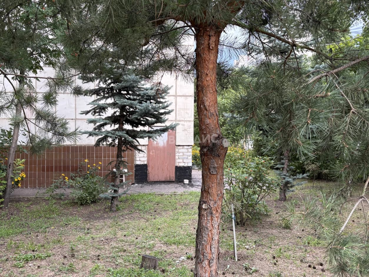 Photo 27