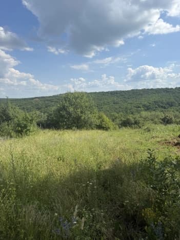 Купить земельный участок в Белгородской области. Вариант № 2256965, 1, площадь - квм, цена 2100000 рублей