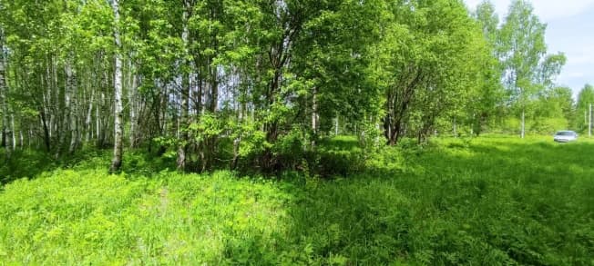 Купить земельный участок в селе Богослово в Суздальском районе на улице Западная , село Богослово в Владимирской области. Вариант № 2368923, 1, площадь - квм, цена 220000 рублей