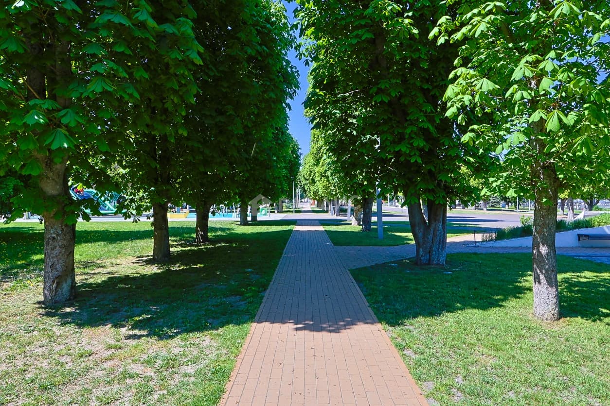 Photo 29