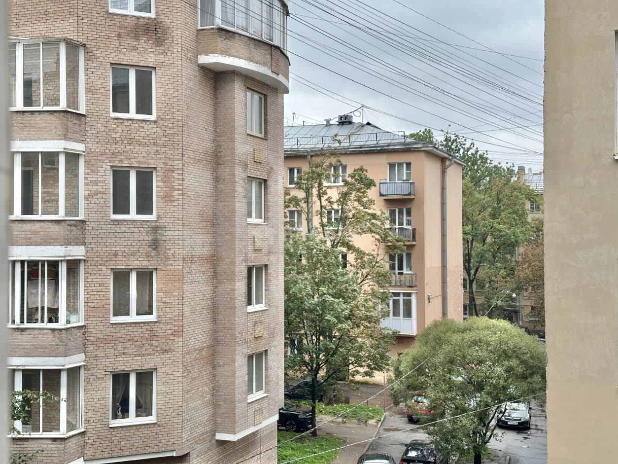 Photo 41